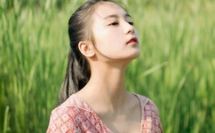 泰迪罗宾香江花月夜